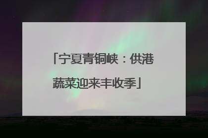 宁夏青铜峡：供港蔬菜迎来丰收季